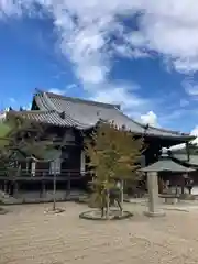 道明寺(大阪府)