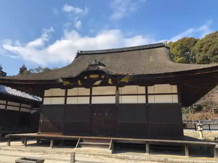 園城寺(三井寺)の{uncategorized: "未分類", other: "その他", undefined: "問題あり", building: "その他建物", grave: "お墓", sacred_gate: "鳥居", guardian: "狛犬", statue: "像", buddha: "仏像", history: "歴史", nature: "自然", garden: "庭園", animal: "動物", pagoda: "塔", temizu: "手水舎", mountain_gate: "山門・神門", sanctuary: "本殿・本堂", subordinate: "末社・摂社", art: "芸術", scenery: "景色", jizo: "地蔵", ema: "絵馬", goshuin: "御朱印", omikuji: "おみくじ", items: "授与品その他", amulet: "お守り", goshuincho: "御朱印帳", eats: "食事", festival: "お祭り", votive_dance: "神楽", shichigosan: "七五三参", wedding: "結婚式", experience: "体験その他", initially: "初詣", around: "周辺", anti_infection: "感染症対策"}