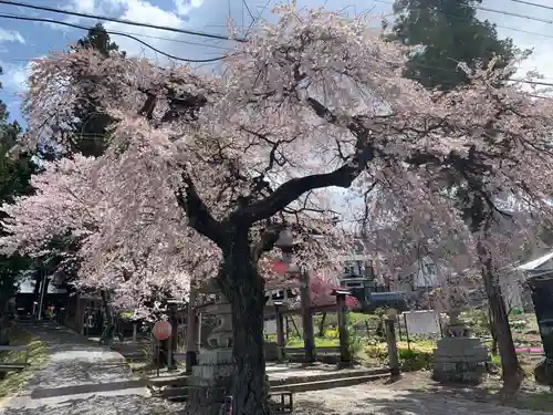 山家神社の自然