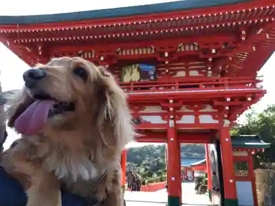 鵜戸神宮(宮崎県)