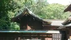 平塚八幡宮の本殿