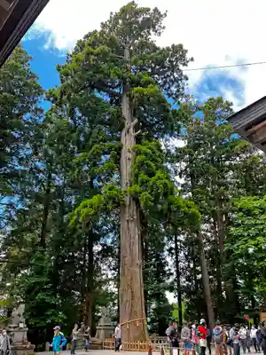 戸隠神社中社(長野県)