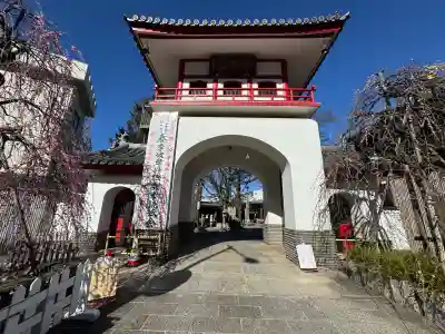 成願寺の{uncategorized: "未分類", other: "その他", undefined: "問題あり", building: "その他建物", grave: "お墓", sacred_gate: "鳥居", guardian: "狛犬", statue: "像", buddha: "仏像", history: "歴史", nature: "自然", garden: "庭園", animal: "動物", pagoda: "塔", temizu: "手水舎", mountain_gate: "山門・神門", sanctuary: "本殿・本堂", subordinate: "末社・摂社", art: "芸術", scenery: "景色", jizo: "地蔵", ema: "絵馬", goshuin: "御朱印", omikuji: "おみくじ", items: "授与品その他", amulet: "お守り", goshuincho: "御朱印帳", eats: "食事", festival: "お祭り", votive_dance: "神楽", shichigosan: "七五三参", wedding: "結婚式", experience: "体験その他", initially: "初詣", around: "周辺", anti_infection: "感染症対策"}