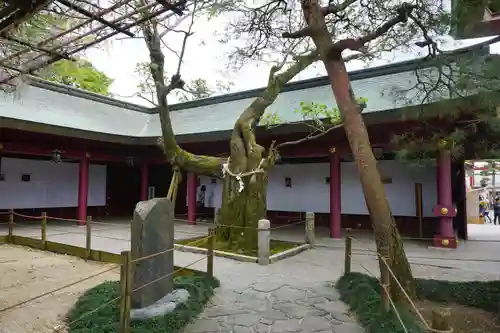 笠間稲荷神社の庭園