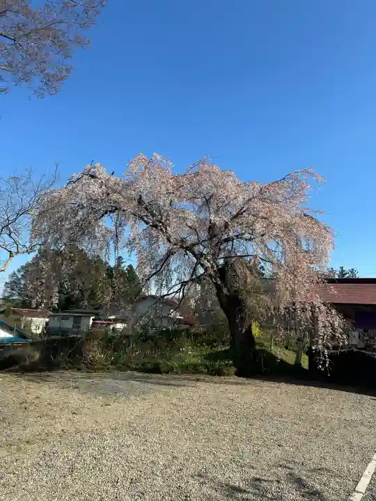 羽生天神社の{uncategorized: "未分類", other: "その他", undefined: "問題あり", building: "その他建物", grave: "お墓", sacred_gate: "鳥居", guardian: "狛犬", statue: "像", buddha: "仏像", history: "歴史", nature: "自然", garden: "庭園", animal: "動物", pagoda: "塔", temizu: "手水舎", mountain_gate: "山門・神門", sanctuary: "本殿・本堂", subordinate: "末社・摂社", art: "芸術", scenery: "景色", jizo: "地蔵", ema: "絵馬", goshuin: "御朱印", omikuji: "おみくじ", items: "授与品その他", amulet: "お守り", goshuincho: "御朱印帳", eats: "食事", festival: "お祭り", votive_dance: "神楽", shichigosan: "七五三参", wedding: "結婚式", experience: "体験その他", initially: "初詣", around: "周辺", anti_infection: "感染症対策"}
