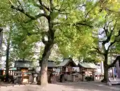 亀戸 香取神社(東京都)