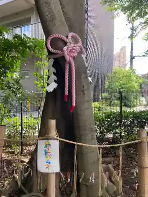 伊和志津神社の周辺