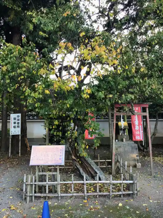 弘道館鹿島神社(茨城県)