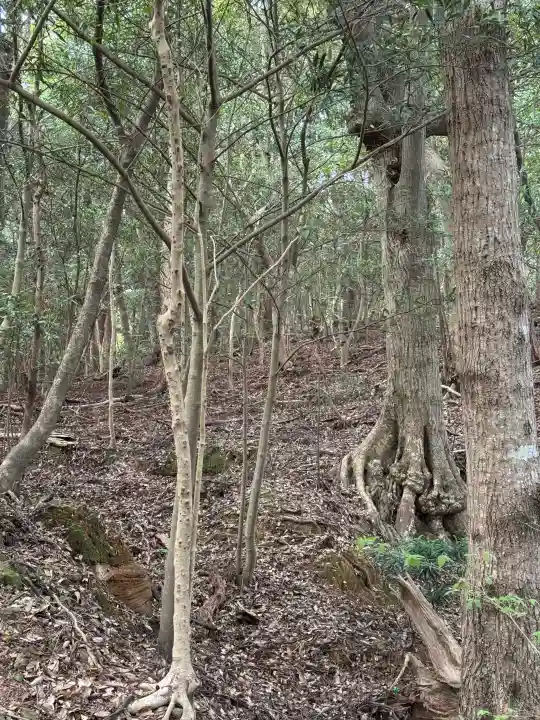 太江寺の{uncategorized: "未分類", other: "その他", undefined: "問題あり", building: "その他建物", grave: "お墓", sacred_gate: "鳥居", guardian: "狛犬", statue: "像", buddha: "仏像", history: "歴史", nature: "自然", garden: "庭園", animal: "動物", pagoda: "塔", temizu: "手水舎", mountain_gate: "山門・神門", sanctuary: "本殿・本堂", subordinate: "末社・摂社", art: "芸術", scenery: "景色", jizo: "地蔵", ema: "絵馬", goshuin: "御朱印", omikuji: "おみくじ", items: "授与品その他", amulet: "お守り", goshuincho: "御朱印帳", eats: "食事", festival: "お祭り", votive_dance: "神楽", shichigosan: "七五三参", wedding: "結婚式", experience: "体験その他", initially: "初詣", around: "周辺", anti_infection: "感染症対策"}