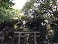 明治神宮(東京都)