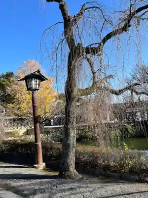 三嶋大社(静岡県)