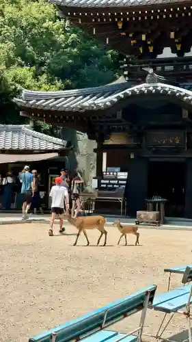 霊火堂(広島県)