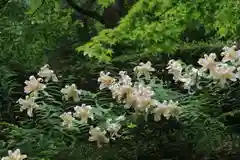 三春大神宮の庭園