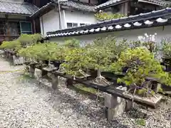 酒波寺(滋賀県)