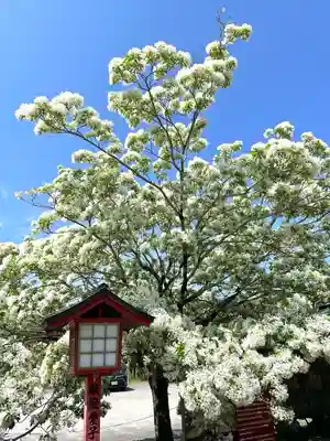 岡湊神社(福岡県)