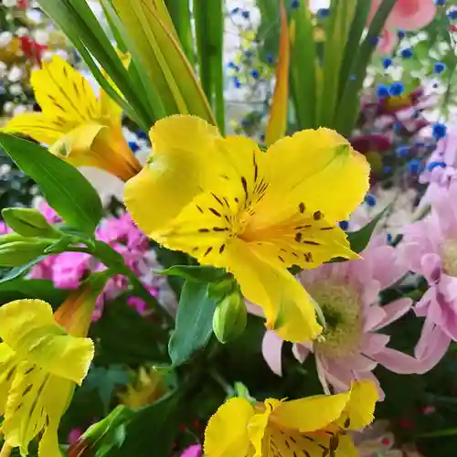 滑川神社 - 仕事と子どもの守り神の手水舎