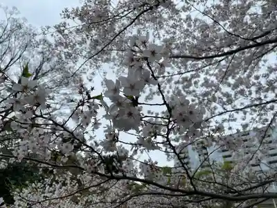 東郷神社(東京都)