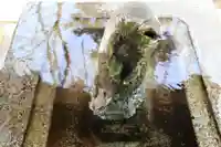 神炊館神社 ⁂奥州須賀川総鎮守⁂の手水舎