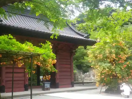 妙本寺の庭園