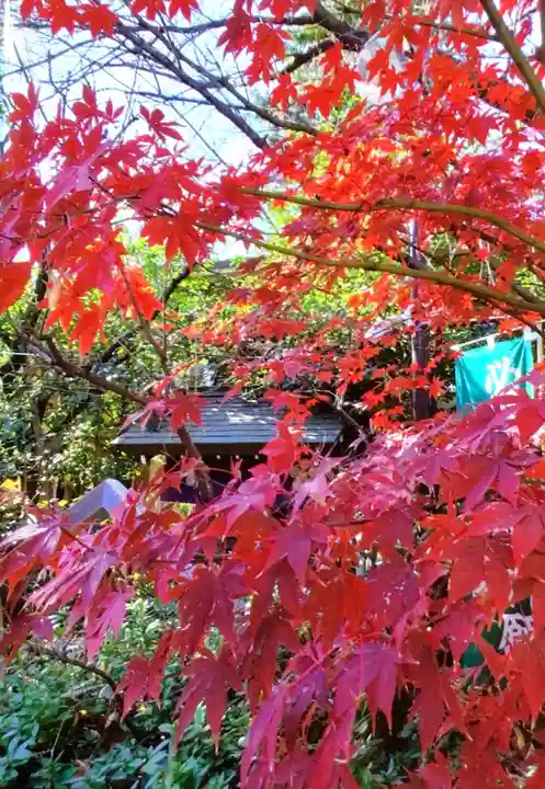 阿佐ヶ谷神明宮(東京都)