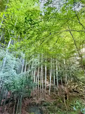 報国寺(神奈川県)