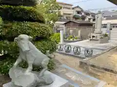 日蓮宗　本松寺の狛犬