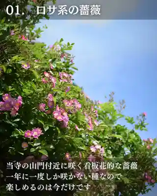 宝光寺(北海道)