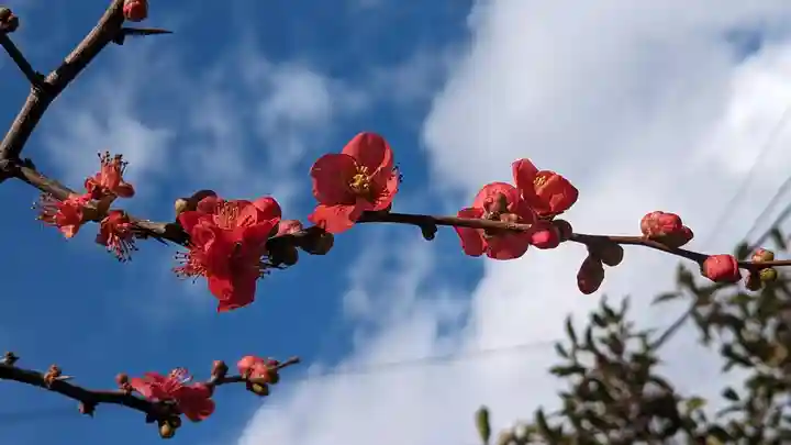 菅大臣神社(京都府)