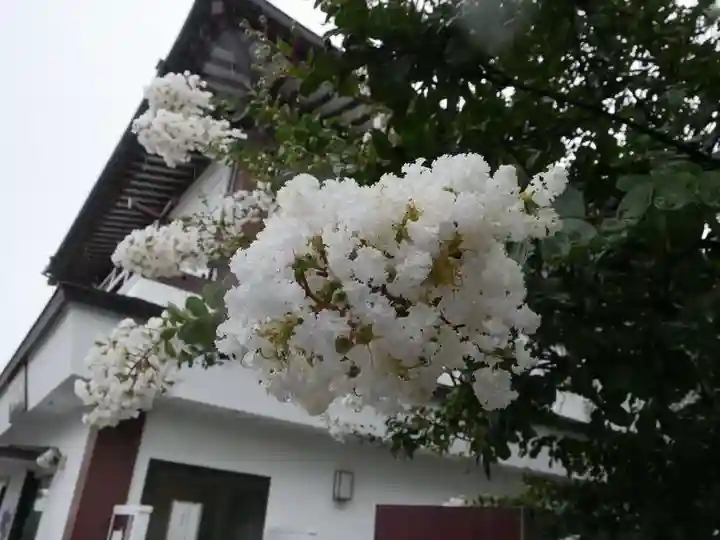 西新井大師総持寺の自然