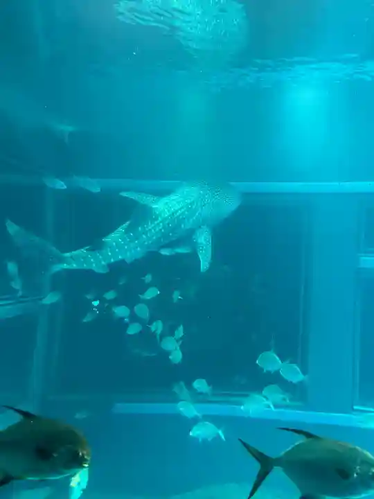 豊國神社の{uncategorized: "未分類", other: "その他", undefined: "問題あり", building: "その他建物", grave: "お墓", sacred_gate: "鳥居", guardian: "狛犬", statue: "像", buddha: "仏像", history: "歴史", nature: "自然", garden: "庭園", animal: "動物", pagoda: "塔", temizu: "手水舎", mountain_gate: "山門・神門", sanctuary: "本殿・本堂", subordinate: "末社・摂社", art: "芸術", scenery: "景色", jizo: "地蔵", ema: "絵馬", goshuin: "御朱印", omikuji: "おみくじ", items: "授与品その他", amulet: "お守り", goshuincho: "御朱印帳", eats: "食事", festival: "お祭り", votive_dance: "神楽", shichigosan: "七五三参", wedding: "結婚式", experience: "体験その他", initially: "初詣", around: "周辺", anti_infection: "感染症対策"}