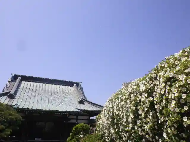 九品寺の本殿・本堂