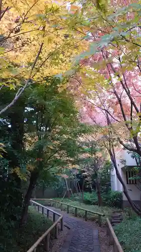 宝勝山　南藏院   蓮光寺の庭園