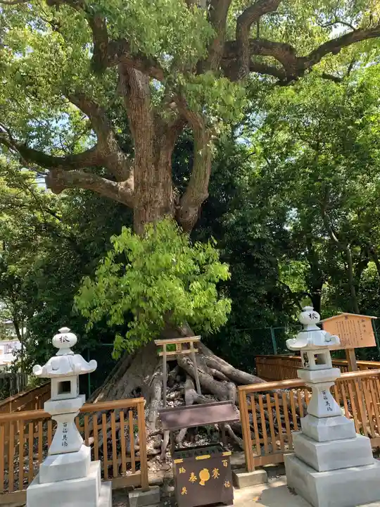 和泉國一之宮 大鳥大社(大阪府)