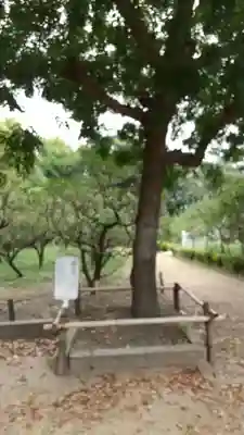 道明寺天満宮(大阪府)