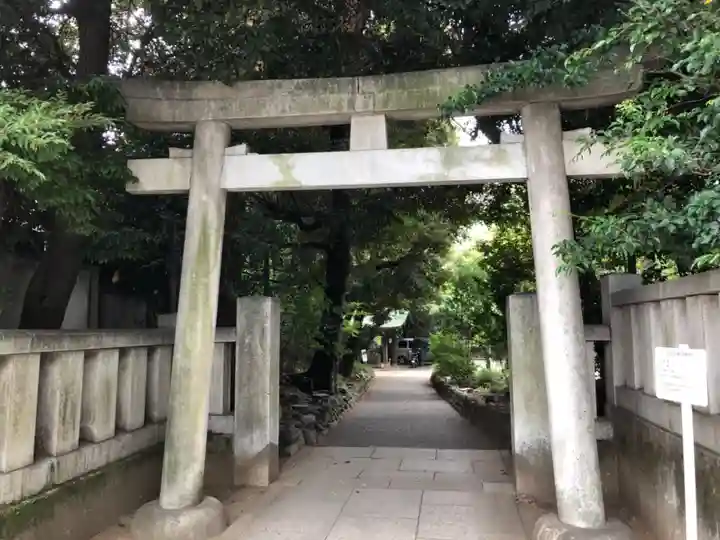 渋谷氷川神社の鳥居