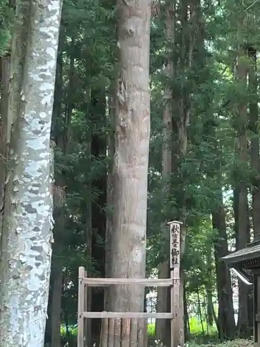 諏訪大社下社秋宮(長野県)