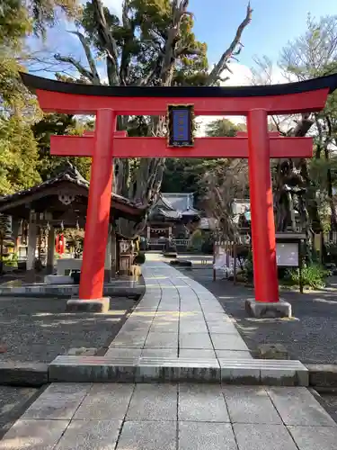 伊古奈比咩命神社の鳥居