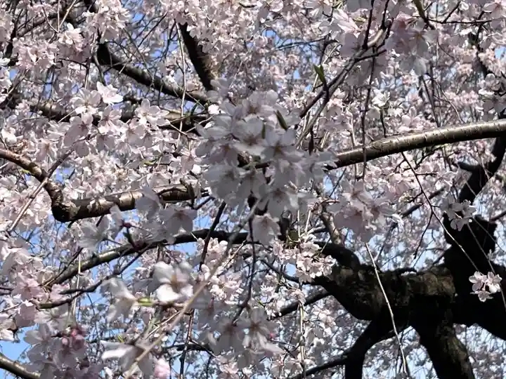 日蓮宗 浄運寺(東京都)