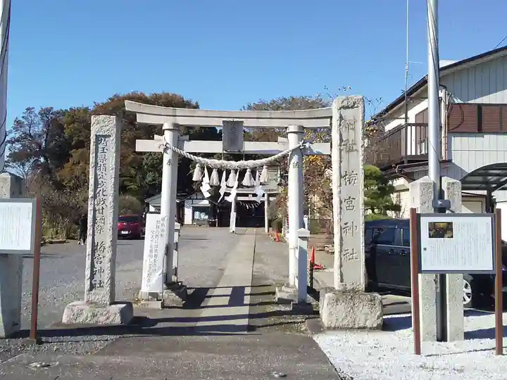 梅宮神社の鳥居