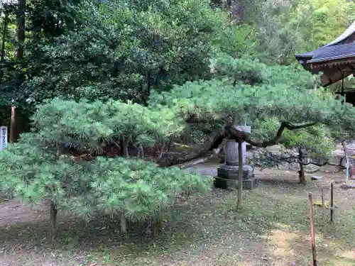 都玉神社の自然