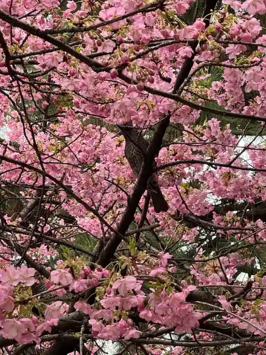 新宿下落合氷川神社(東京都)