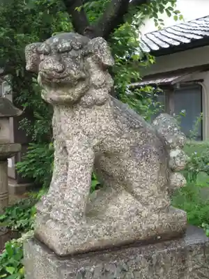 百舌鳥八幡宮の狛犬