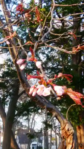 錦山天満宮の自然