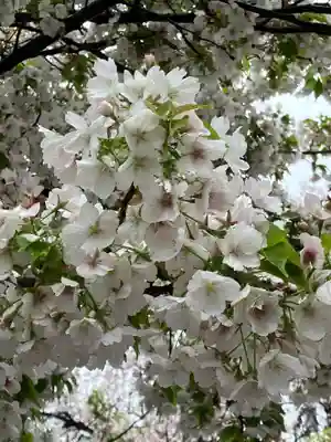 池上本門寺(東京都)