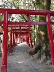 青井阿蘇神社(熊本県)