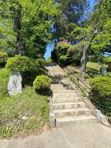 長徳寺の庭園