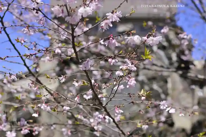 千住神社(東京都)