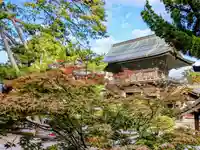 白山神社(新潟県)