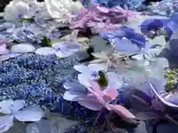 円通寺の手水舎