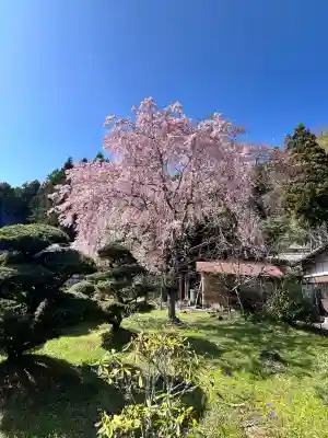 仏隆寺(奈良県)
